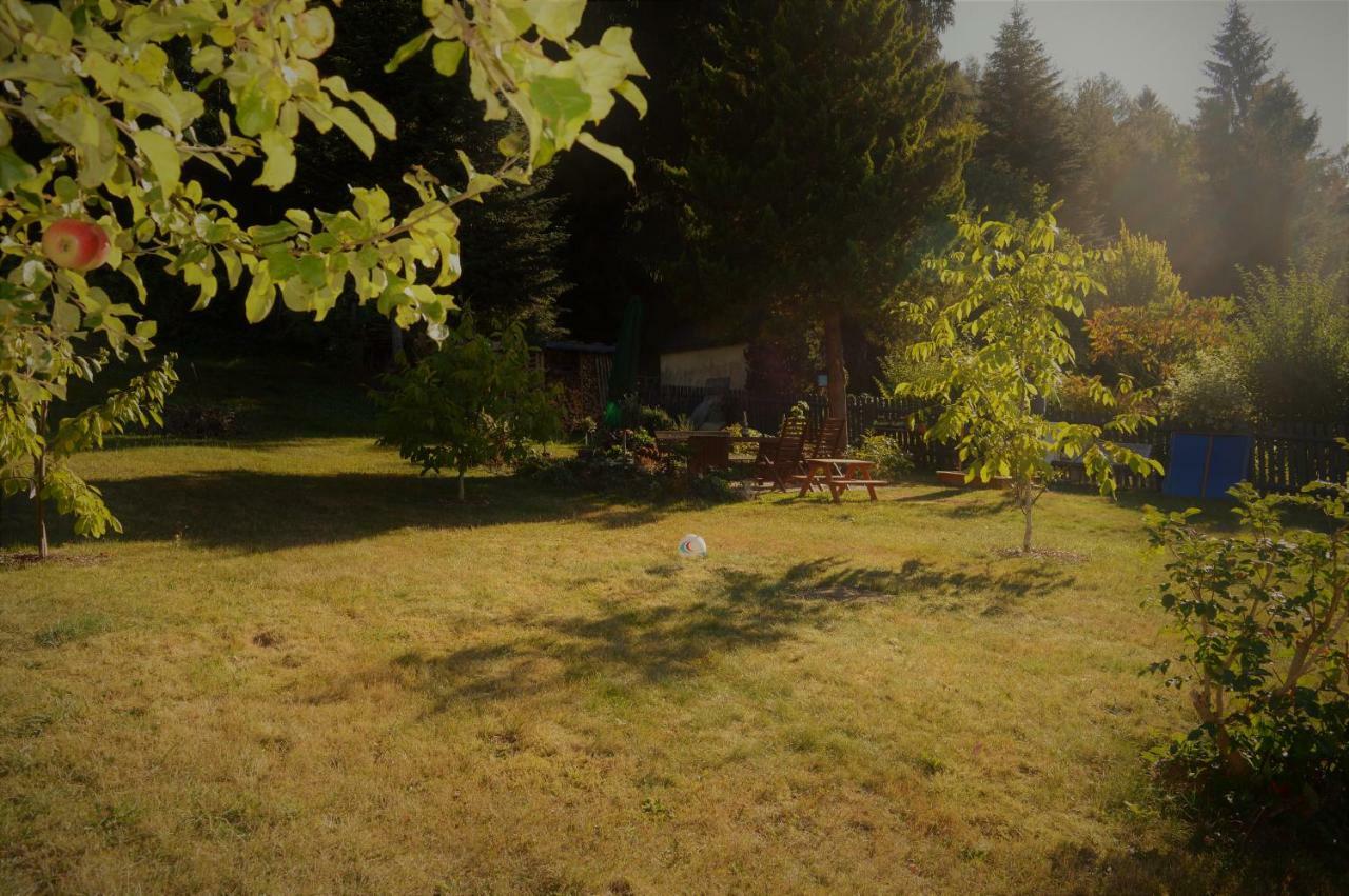 Deine Ferienwohnung Falkenstein  外观 照片