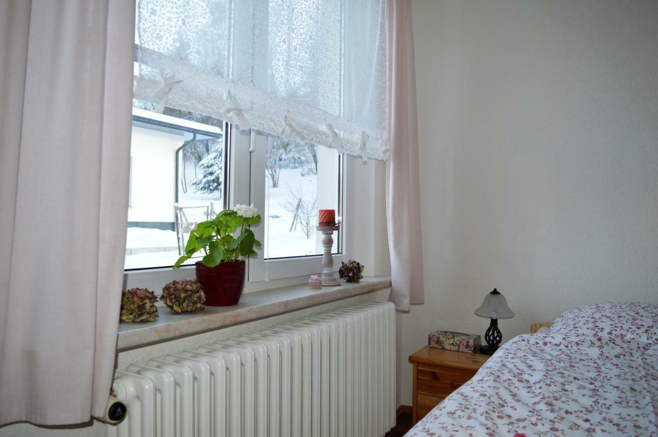 Deine Ferienwohnung Falkenstein  外观 照片